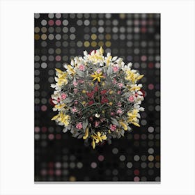 Vintage Hypoxis Stellata Flower Wreath on Dot Bokeh Pattern n.0202 Canvas Print