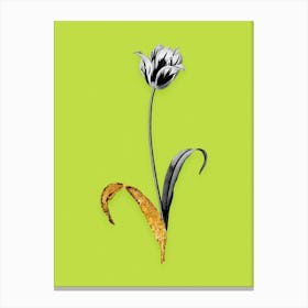Vintage Didiers Tulip Black and White Gold Leaf Floral Art on Chartreuse n.0574 Canvas Print