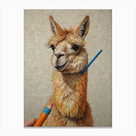 Llama 22 Canvas Print