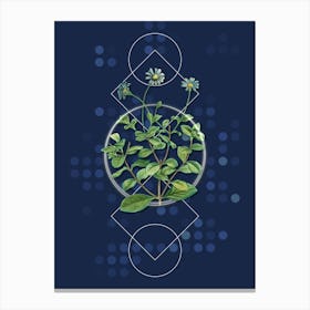 Vintage Blue Marguerite Plant Botanical with Geometric Line Motif and Dot Pattern n.0309 Canvas Print