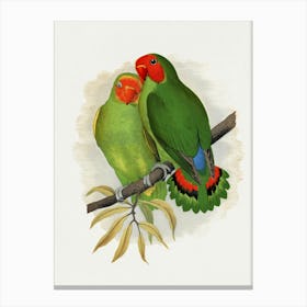 Lovebirds Canvas Print