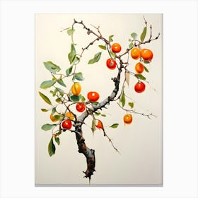 Pomegranate Tree 2 Canvas Print