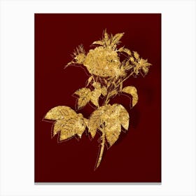 Vintage Pink Agatha Rose Botanical in Gold on Red n.0433 Canvas Print