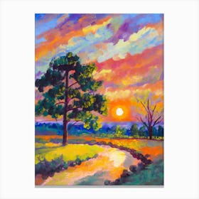 Sunset By Person Canvas Print
