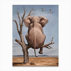 Elephant In Tree Canvas Print