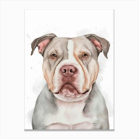 Pit Bull Terrier Canvas Print