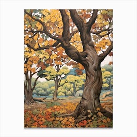 American Sycamore 2 Vintage Autumn Tree Print  Canvas Print