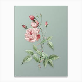 Vintage Common Rose of India Botanical Art on Mint Green n.0911 Canvas Print