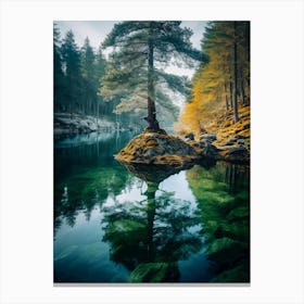 Tree In A Lake Canvas Print