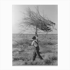 Carrying Mesquite To Be Burned In Process Of Clearing Land, El Indio, Texas By Russell Lee Canvas Print