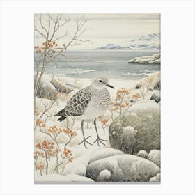 Winter Bird Painting Grey Plover 3 Canvas Print