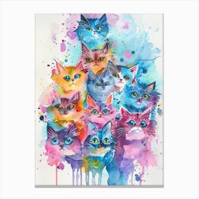 Colorful Cats 5 Canvas Print