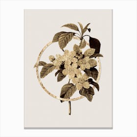 Gold Ring Apple Blossom Glitter Botanical Illustration n.0024 Canvas Print
