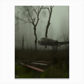 Plane In The Fog 1 Canvas Print