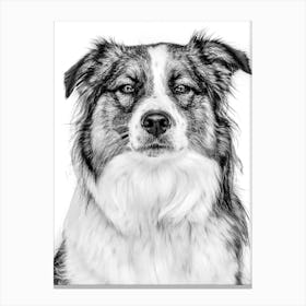 Black And White Dog Portrait 1 Canvas Print