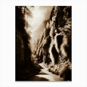 Infrared Road Canvas Print