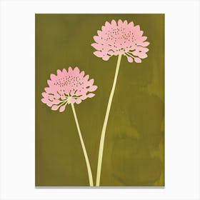 Pink & Green Scabiosa 2 Canvas Print
