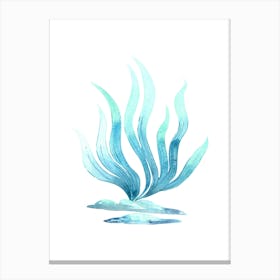 Watercolor Seaweed Illustration Canvas Print