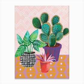 Cactus Plants Canvas Print