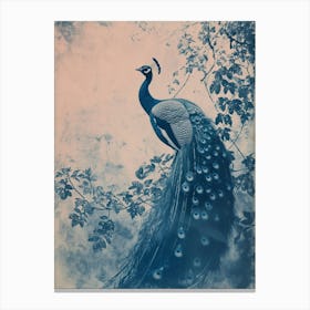 Blue Peacock & Ivory Cyanotype Inspired Canvas Print