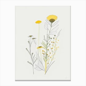 Chamomile Spices And Herbs Minimal Line Drawing 2 Canvas Print