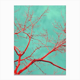 Red Tree Branches Against Blue Sky Canvas Print