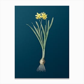 Vintage Lesser Wild Daffodil Botanical Art on Teal Blue n.0610 Canvas Print