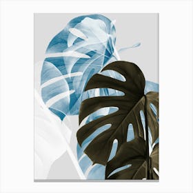 Monstera Leaves Ice Blue_2058422 Canvas Print