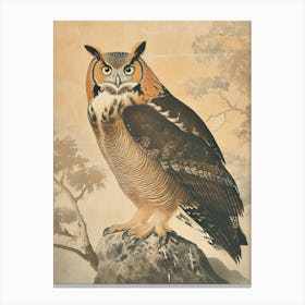 Philipine Eagle Owl Vintage Illustration 3 Canvas Print