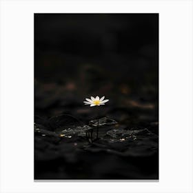 Single Flower In Water 18 Canvas Print