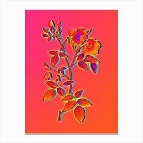 Neon Velvet China Rose Botanical in Hot Pink and Electric Blue n.0016 Canvas Print