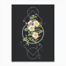 Vintage Thornless Burnet Rose Botanical with Geometric Line Motif and Dot Pattern n.0149 Canvas Print