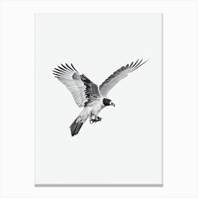 Vulture B&W Pencil Drawing 3 Bird Canvas Print