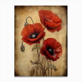 Poppies 18 Canvas Print