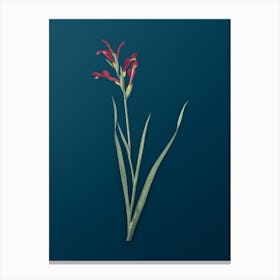 Vintage Gladiolus Cunonius Botanical Art on Teal Blue n.0019 Canvas Print