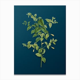 Vintage Tree Fuchsia Botanical Art on Teal Blue n.0120 Canvas Print