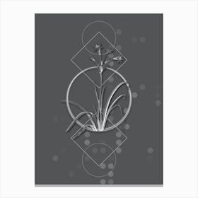 Vintage Crytanthus Vittatus Botanical with Line Motif and Dot Pattern in Ghost Gray n.0388 Canvas Print