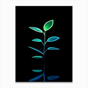 Green Plant Canvas Print