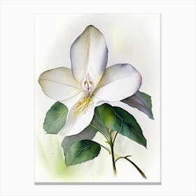 Trillium Wildflower Watercolour 1 Canvas Print