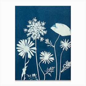 Wildflower cyanotype blue Canvas Print