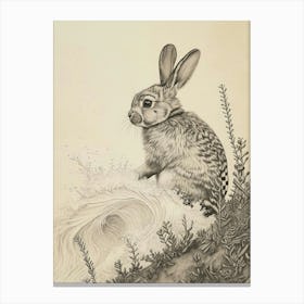 Checkered Giant Rabbit Drawing 1 Canvas Print