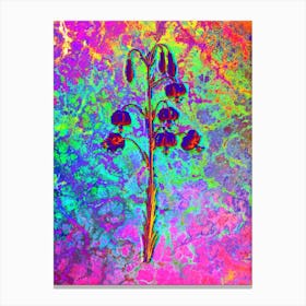 Lilium Pyrenaicum Botanical in Acid Neon Pink Green and Blue Canvas Print