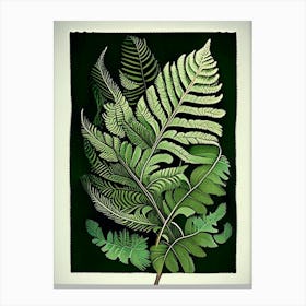 Wood Fern 1 Vintage Botanical Poster Canvas Print