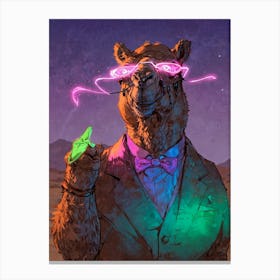 Camel Canvas Print