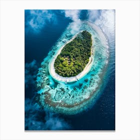 Island In The Maldives 3 Canvas Print