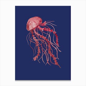 Navy Jellyfish Canvas Print