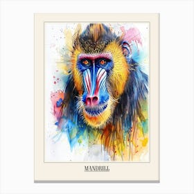 Mandrill Colourful Watercolour 3 Poster Canvas Print