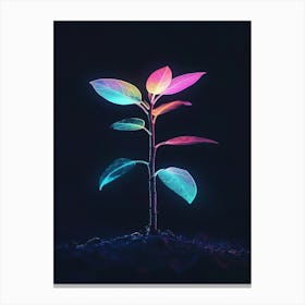 Plant In The Dark 45 Canvas Print