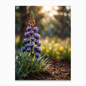 Lupine Flower Canvas Print