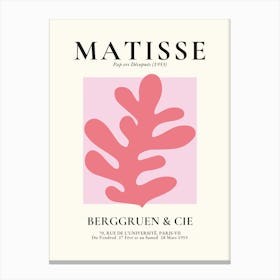 Matisse 9 Canvas Print